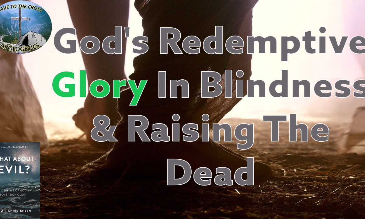Redemptive Glory In Blindness