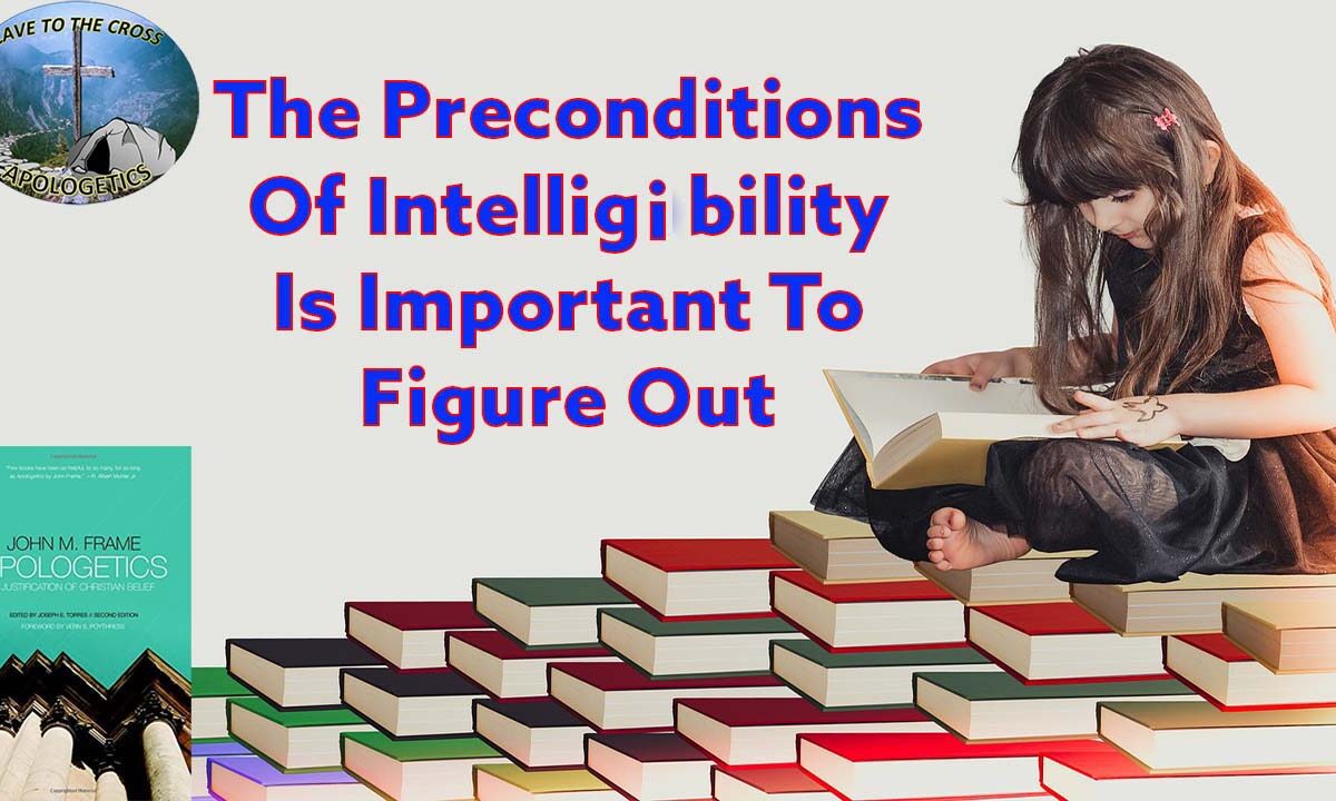 The Preconditions Of Intelligibility