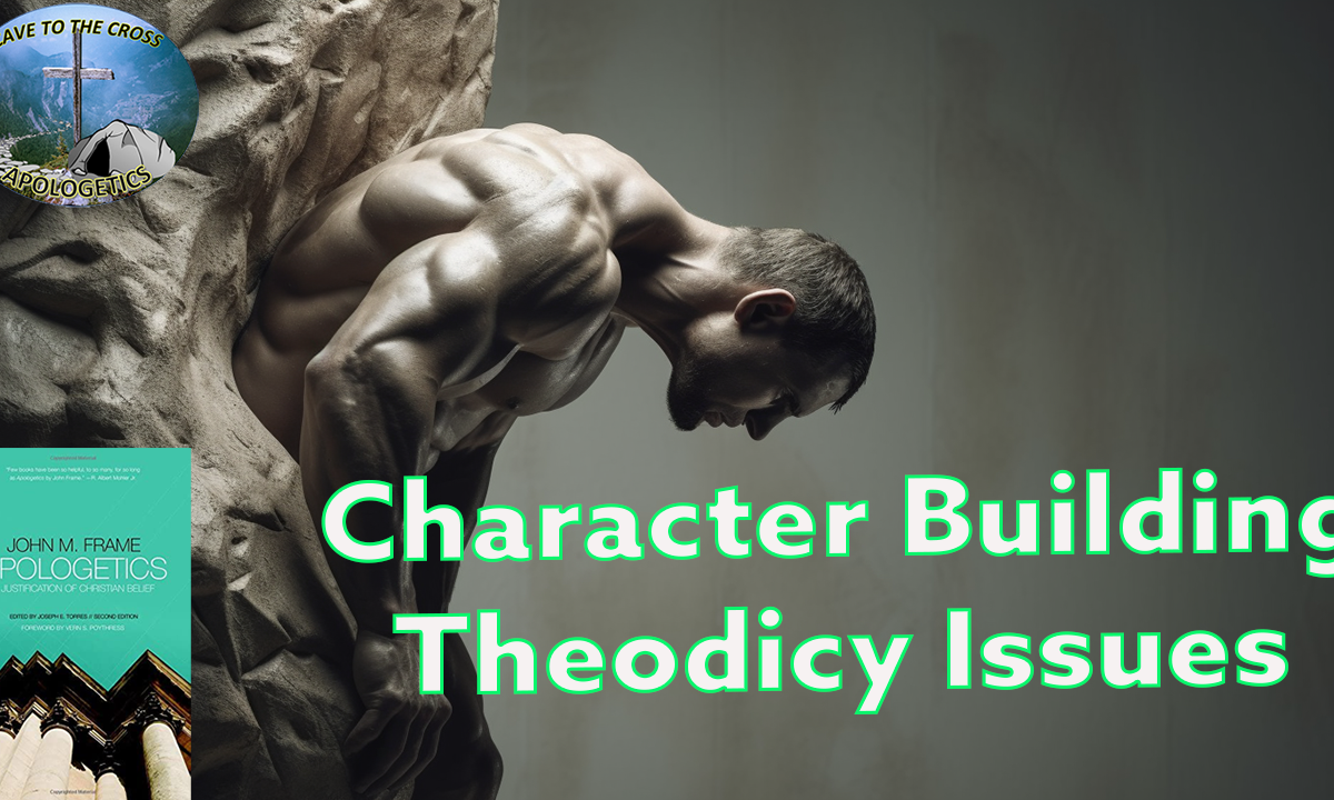 Character Building Theodicy Issues