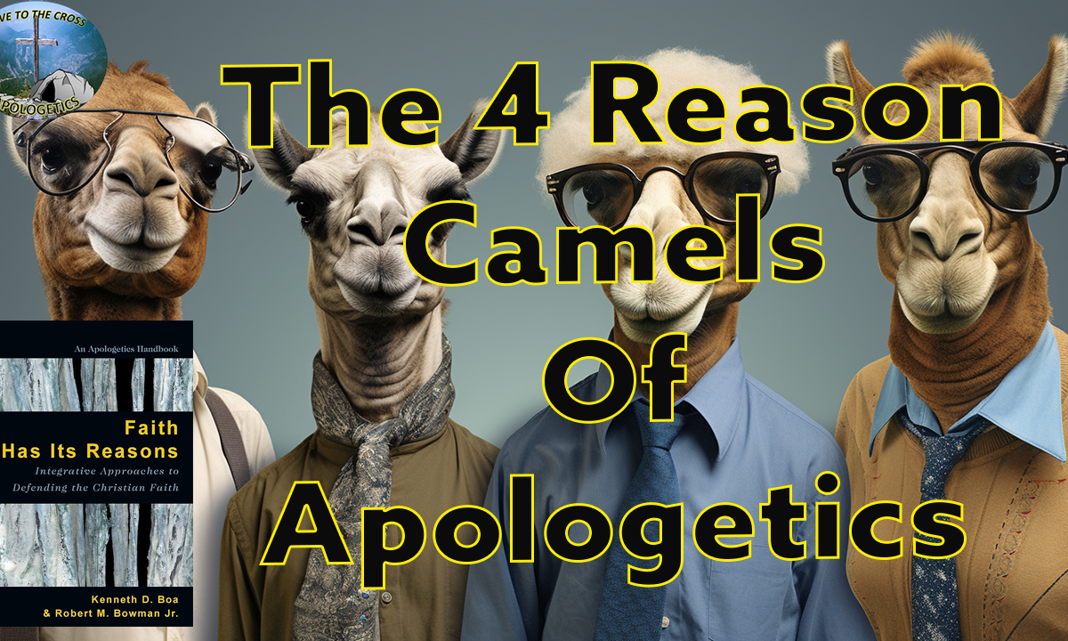 4 Reason Camels