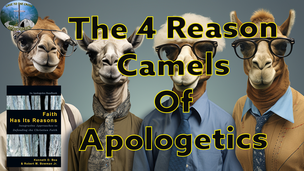 4 Reason Camels